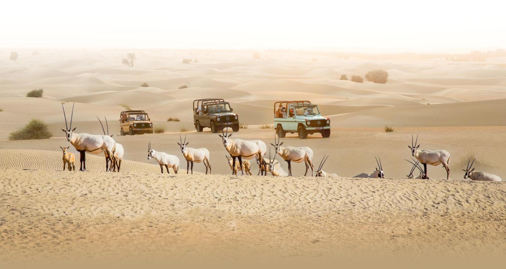 Al Marmoom Oasis Luxury Experiential Desert Resort Dubai Exterior photo